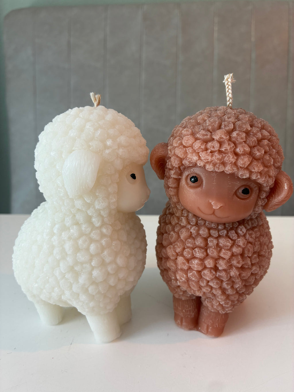 Schaap