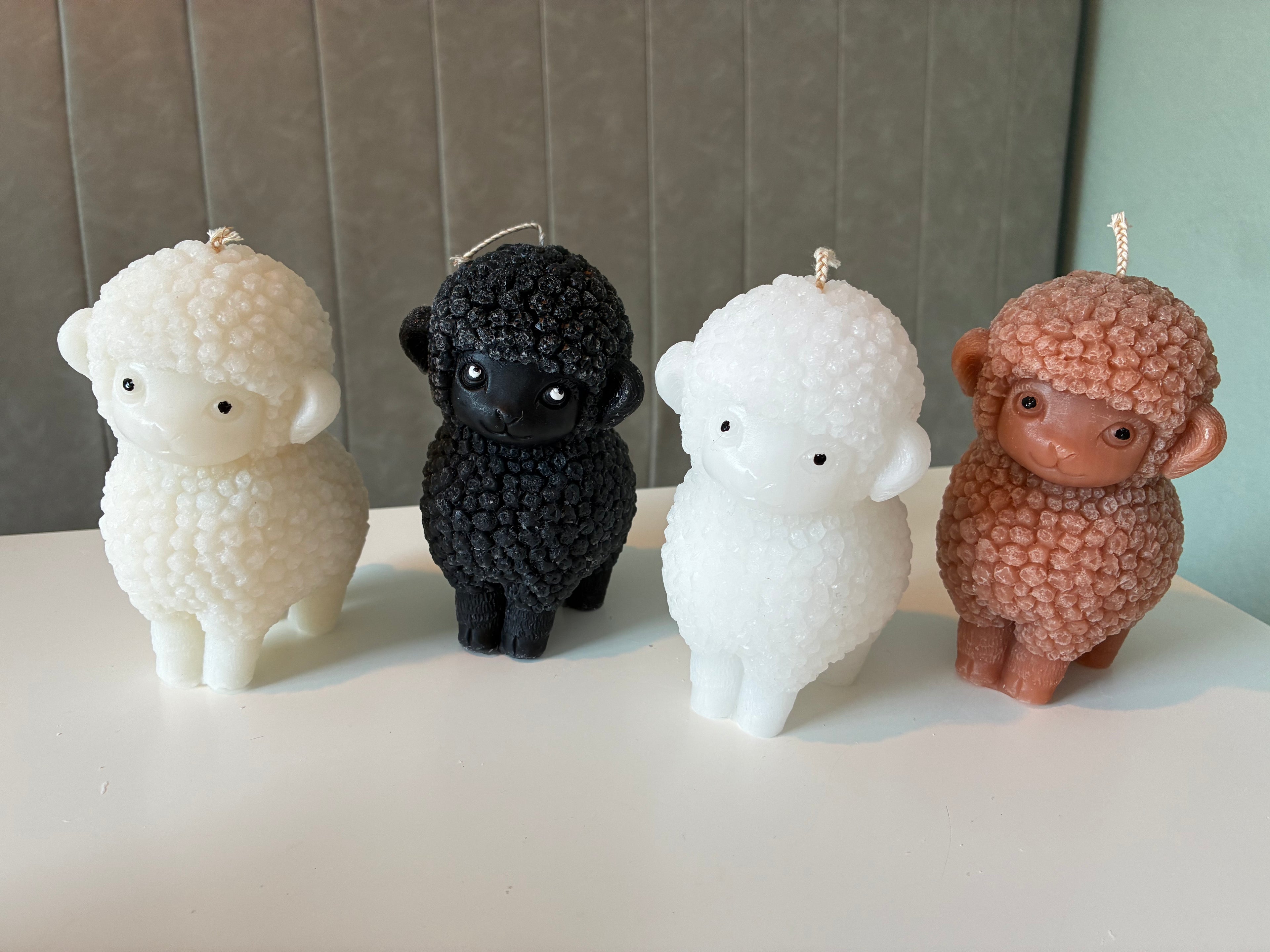 Schaap