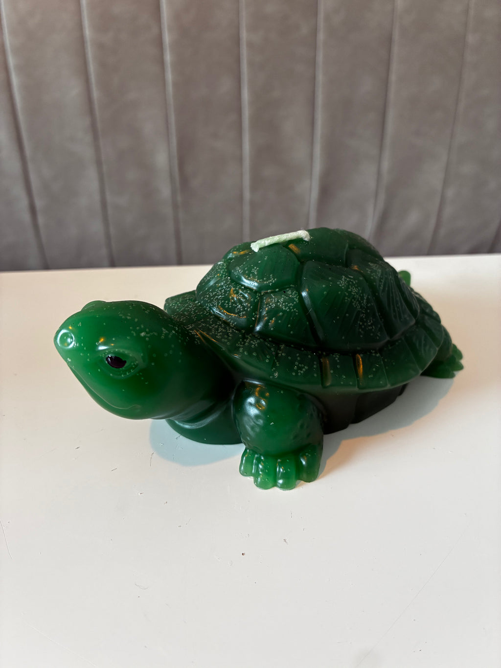Schildpad