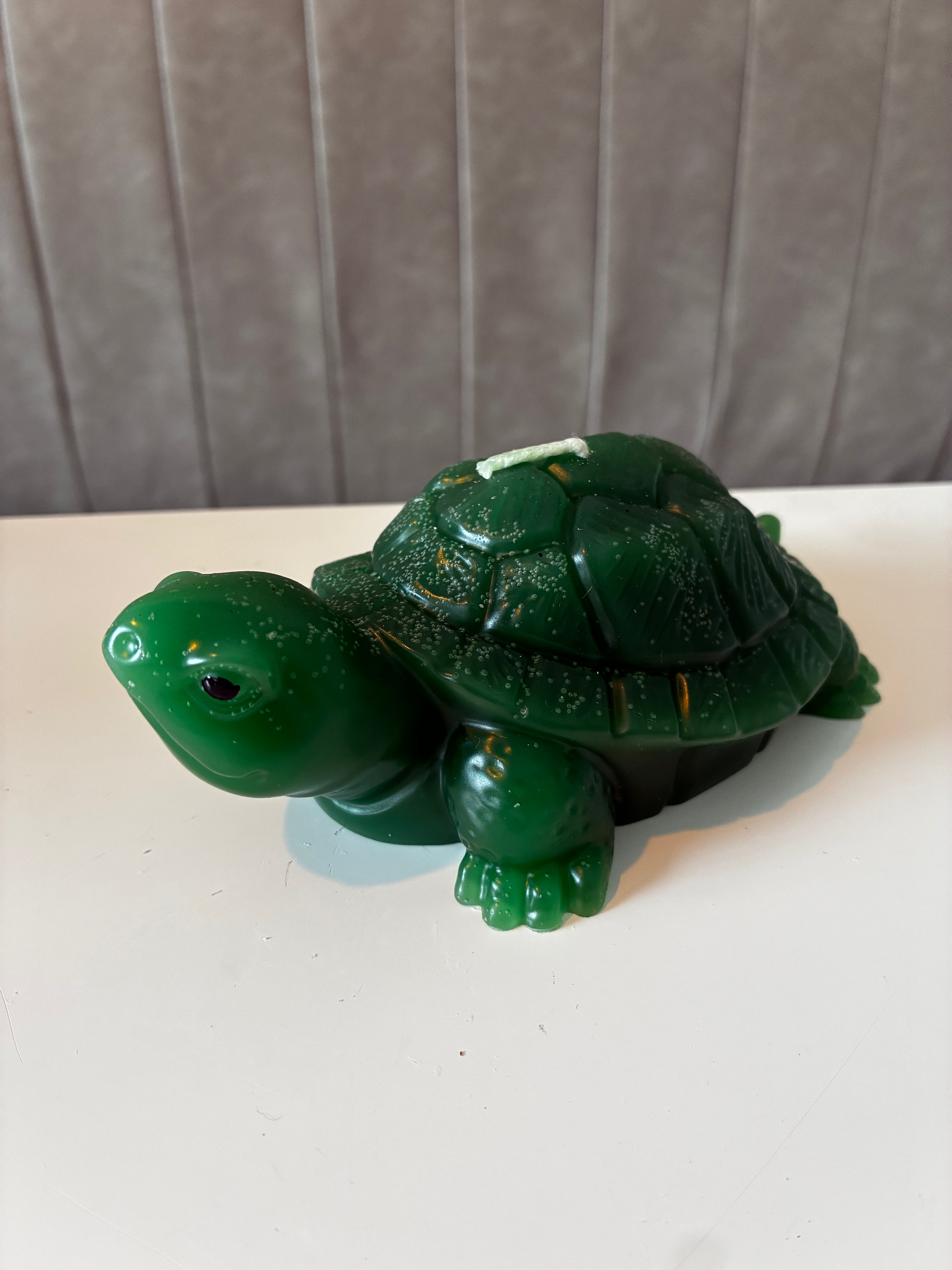 Schildpad