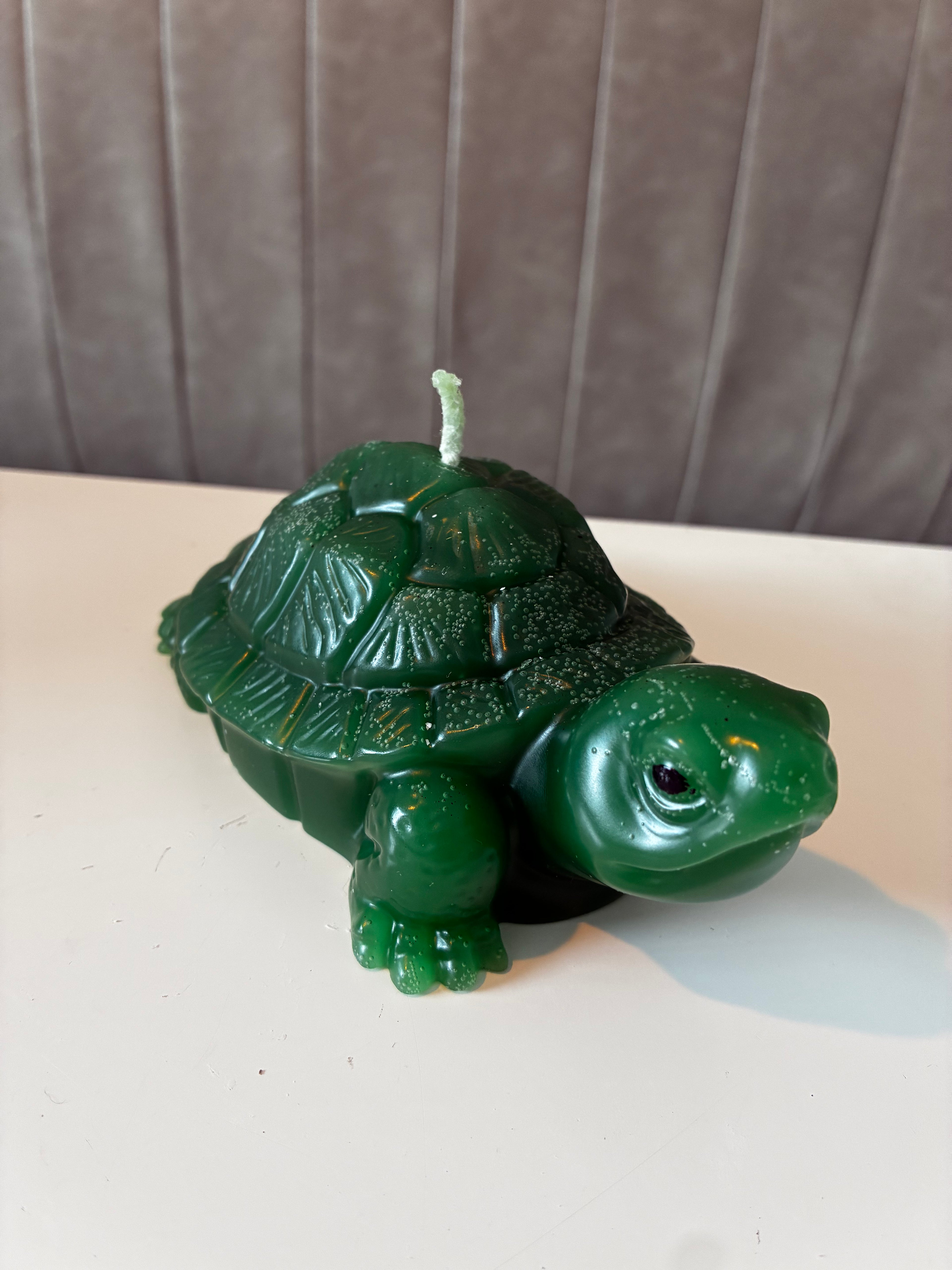 Schildpad